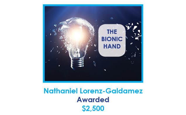 The Bionic Hand Grant 仿生手奖